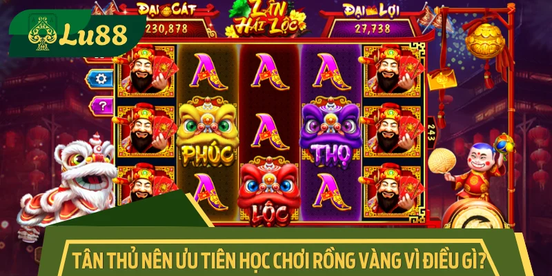Vì sao người mới bắt đầu nên làm quen với slot Rồng Vàng?